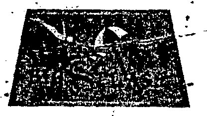 Big Splash Device mark 1012986 Trademark