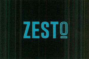 Zesto Device mark 2904226 Trademark