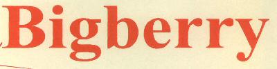 Bigberry Device mark 2718504 Trademark