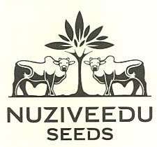 Nuziveedu Seeds Device mark 2485314 Trademark