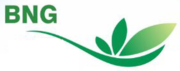 Bng Device mark 2866524 Trademark