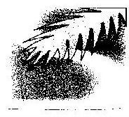 Misc. Geom. (device) Device mark 819767 Trademark