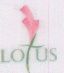 Lotus With Lable Device mark 1494206 Trademark