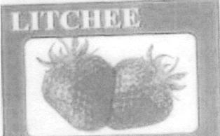 Litchee Device mark 2252084 Trademark