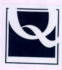 Q Device mark 1884120 Trademark
