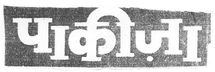 Pakiza (device) Device mark 1669476 Trademark
