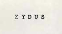 Z Y D U S Device mark 720987 Trademark