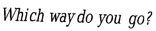 Which Way Do You Go? Device mark 1975952 Trademark