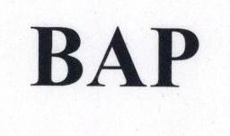 Bap Device mark 1634531 Trademark