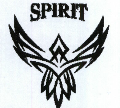 Spirit Device mark 1901044 Trademark