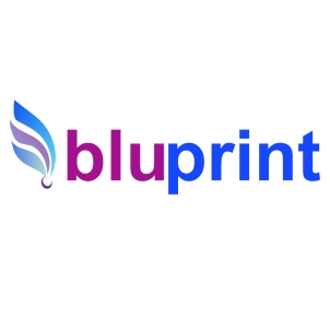 Bluprint Device mark 2673924 Trademark