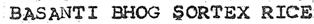 Basanti Bhog Sortex Rice Device mark 2193459 Trademark