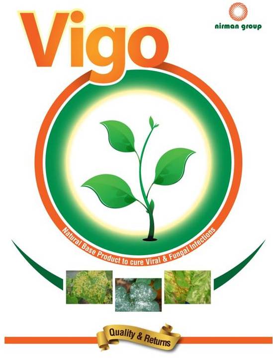 Vigo Device mark 2816177 Trademark