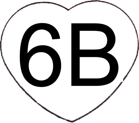 6 B Device mark 2985946 Trademark
