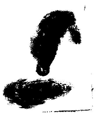 Device Of Leaf Device mark 1294826 Trademark