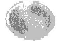 Device In Circle Device mark 1308907 Trademark
