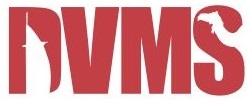 Dvms Device mark 2817804 Trademark