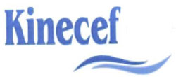 Kinecef Device mark 2897730 Trademark