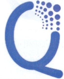 Q Device mark 2289542 Trademark