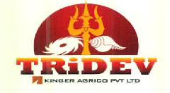 Tridev Device mark 2704874 Trademark