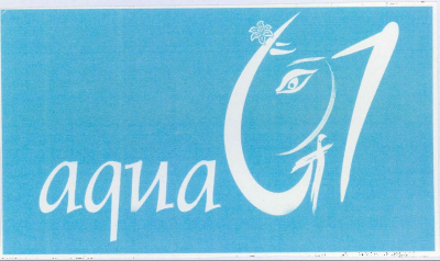 Aqua -g1 Device mark 2188379 Trademark