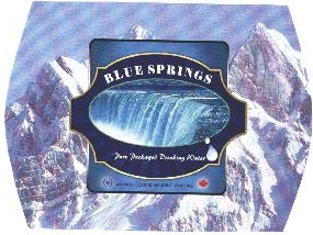 Blue Springs Device mark 1908329 Trademark