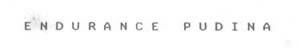 Endurance Pudina. Device mark 879763 Trademark