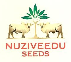 Nuziveedu Seeds Device mark 2485313 Trademark