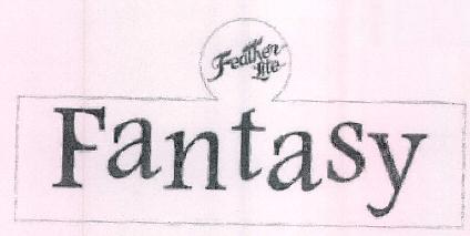 Feather Lite Fantasy Device mark 2394856 Trademark