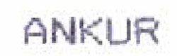 Ankur Device mark 1519399 Trademark