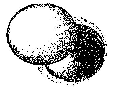 Device Mark Device mark 550606 Trademark