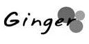 Ginger (device) Device mark 2902534 Trademark