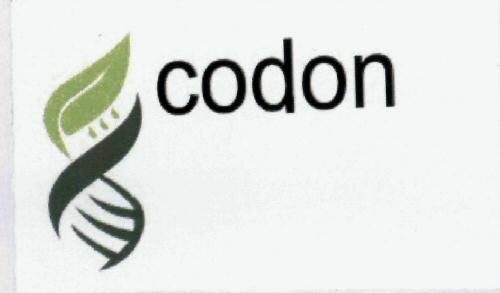 Codon (label) Device mark 1968058 Trademark