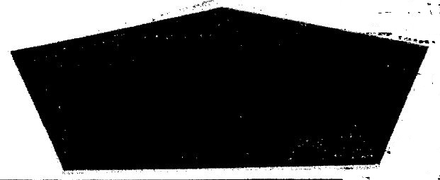 Pentagaon Device mark 1401305 Trademark
