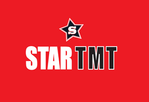 Star Tmt Device mark 2953408 Trademark