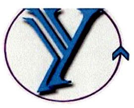 Y Device mark 2570806 Trademark