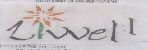 Liwel (label) Device mark 1124785 Trademark