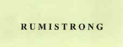 Rumistrong Device mark 1202408 Trademark