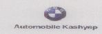 Automoblie Kashyap (device) Device mark 1031655 Trademark
