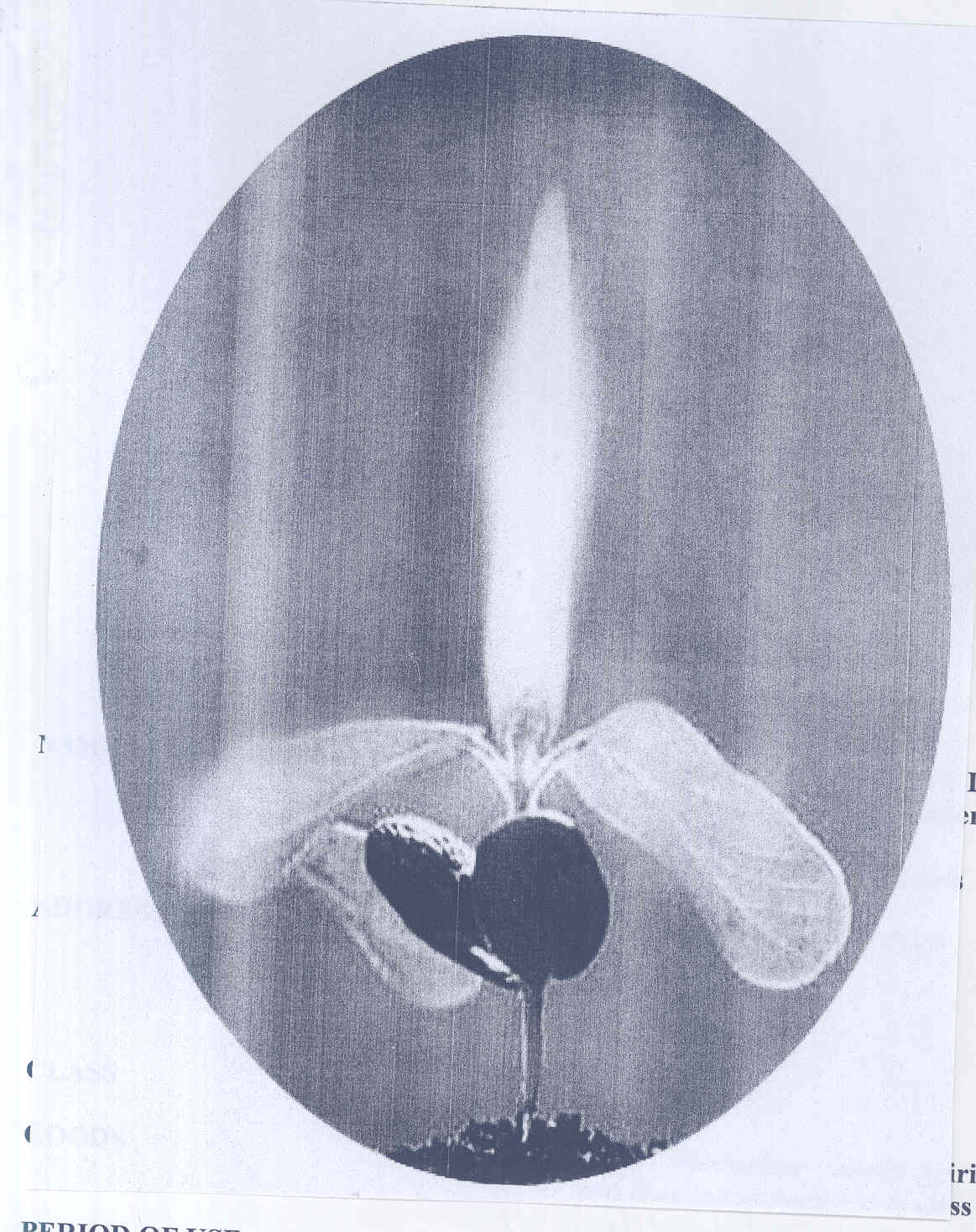 Logo Device mark 1743323 Trademark