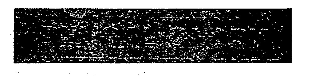 Bengal Glory Device mark 1057527 Trademark