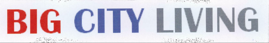 Big City Living Device mark 1993378 Trademark