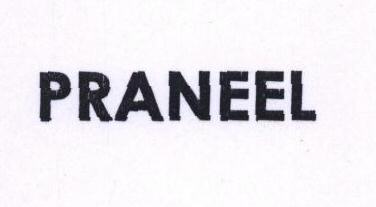 Parneel Device mark 1528955 Trademark