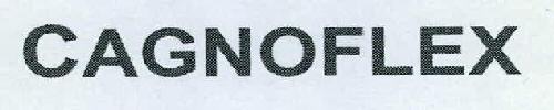 Cagnoflex Device mark 2347503 Trademark