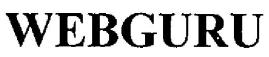 Webguru Device mark 1598798 Trademark