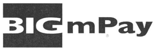Bigmpay Device mark 1659398 Trademark