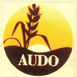 Audo Device mark 2948727 Trademark