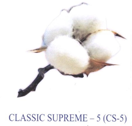 Classic Supreme - 5 (cs-5) Device mark 2189045 Trademark