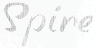Spire Device mark 2485297 Trademark