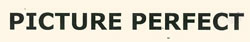 Picture Perfect Device mark 2361097 Trademark